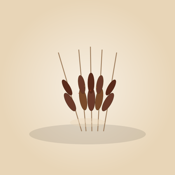 Suya (5 sticks)